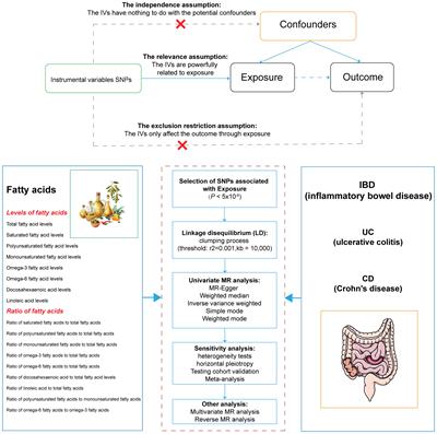 Unraveling the causal link: fatty acids and inflammatory bowel disease